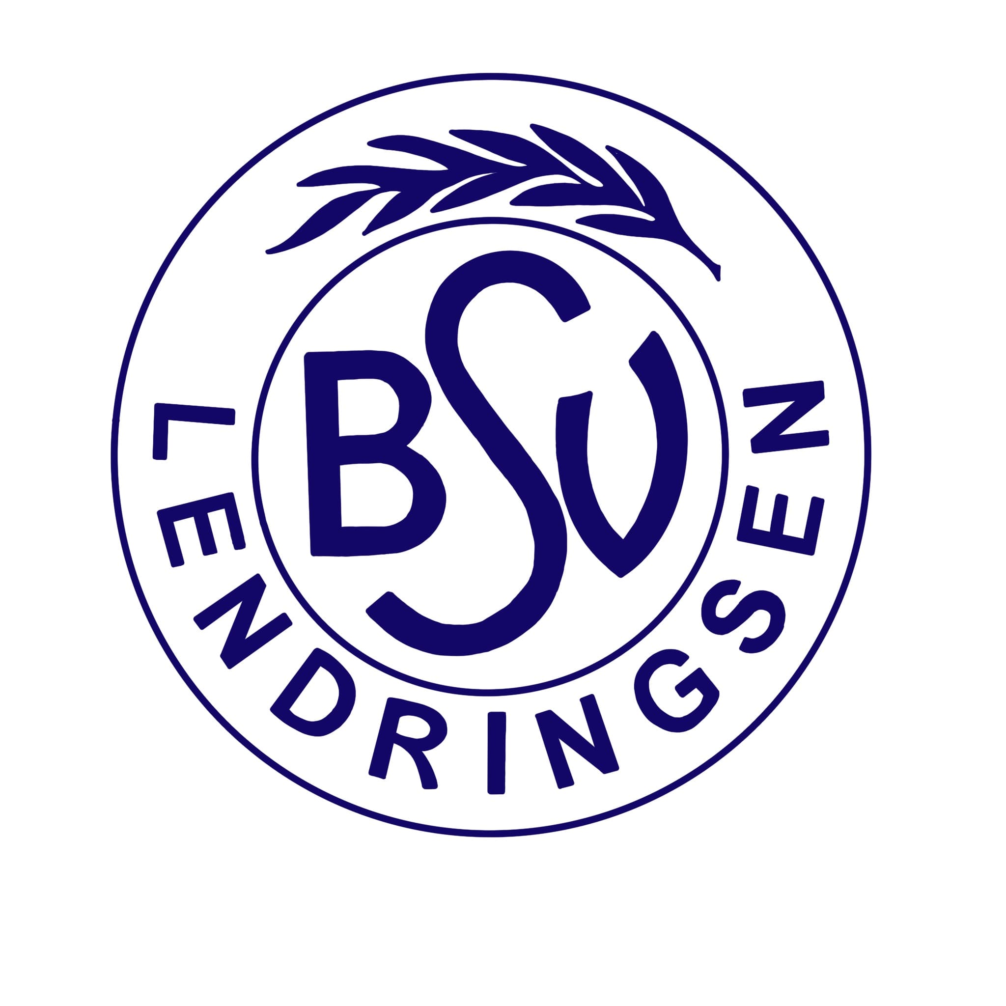 BSV Lendringsen 1919 e.V.